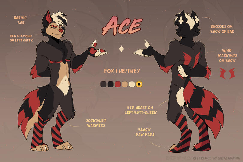 Basic Reference Sheet